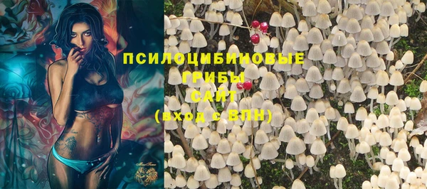 амф Каменск-Шахтинский