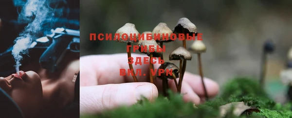 мескалин Инта