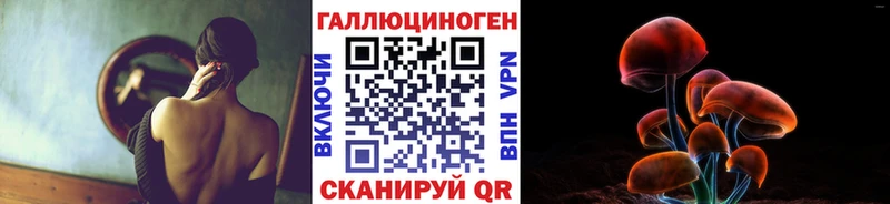 Купить где Галич Псилоцибиновые грибы MAGIC MUSHROOMS